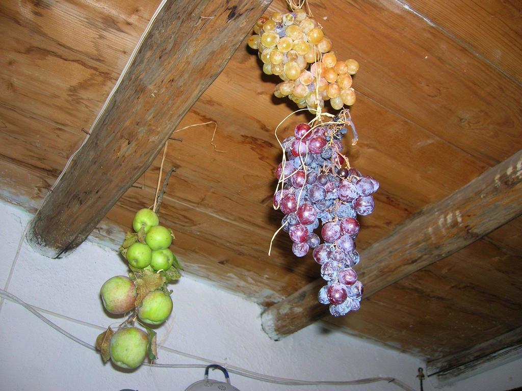 Apartament Serranello Azienda Agricola Bono  Zewnętrze zdjęcie